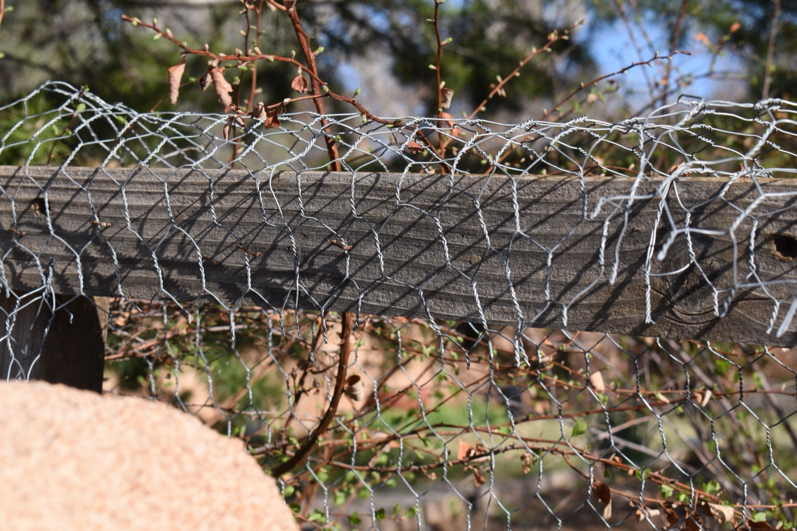 A wire fence and fallen log tangled with dry branches.